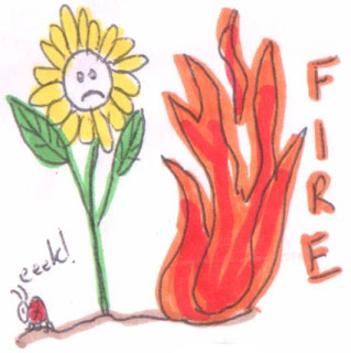 fireflowerdoodle